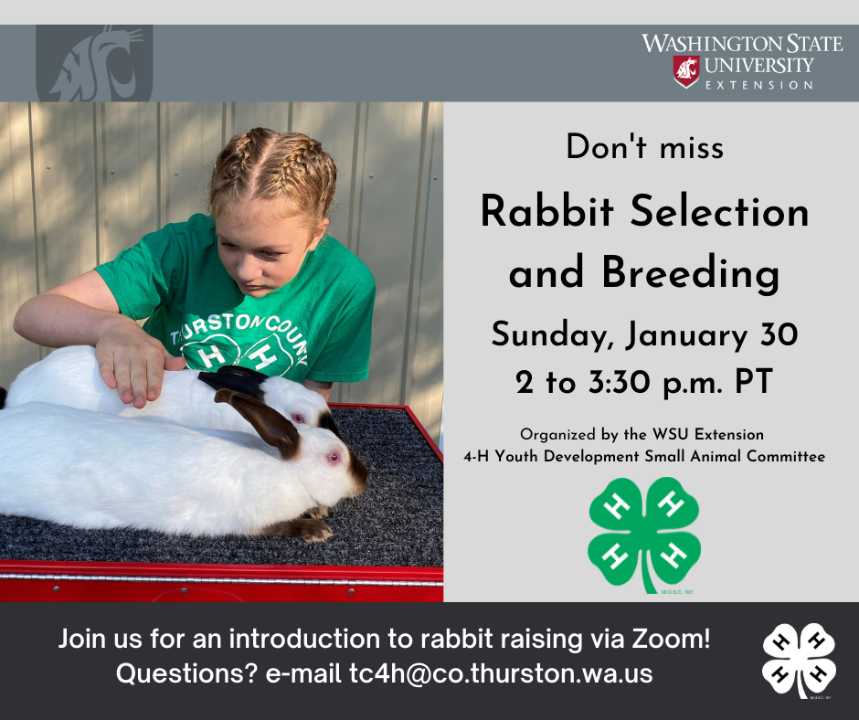 4-H Rabbit Selection and Breeding Workshop | Thurston County ...