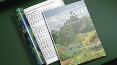Hedgerows Handbook
