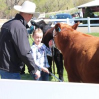Judge teaching student about steer