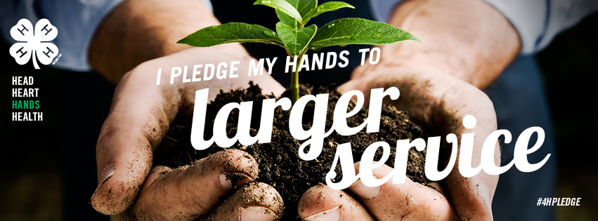 Hands holding plant with the words I pledge my hands to larger service