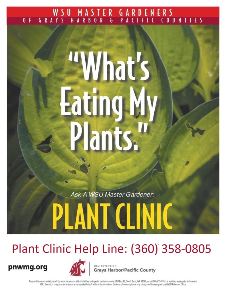 Plant Clinic Help Line - Ask a Master Gardener - (360) 358-0805