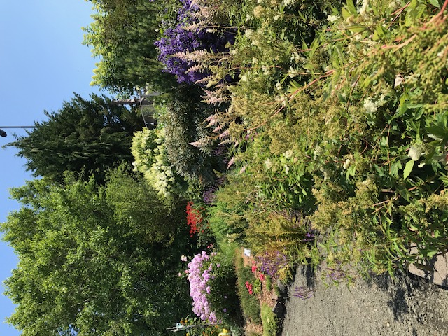 Perennial beds in the WSU Extension Master Gardener Demonstration Garden at the Grays Harbor Fairgrounds