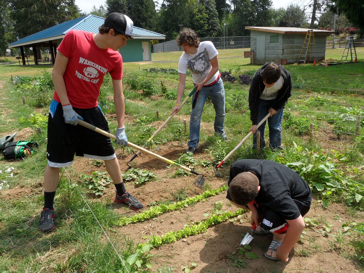 Members Gardening