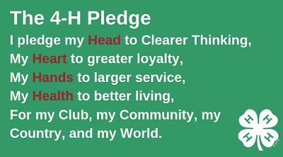 4-H Pledge with Head, Heart, Hands and Health