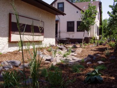 Residential Rain Garden