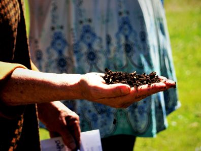 Compost