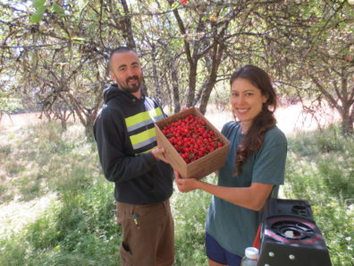 People holding box of berries