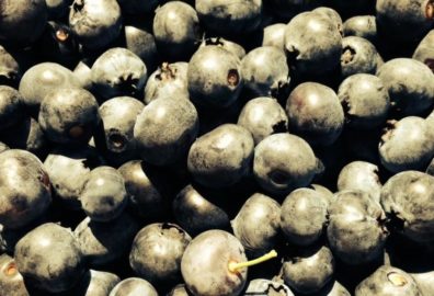 Blueberries