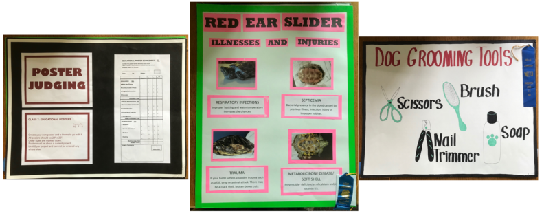three examples of 4-H educational posters