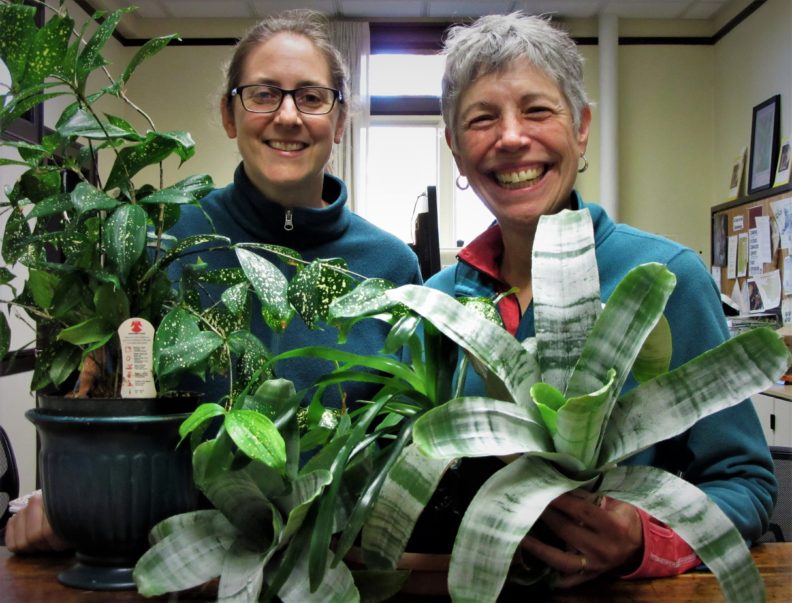 Clallam County Master Gardeners