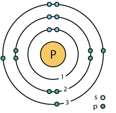 Phosphorus Model