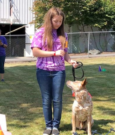 youth showing a dog at the fair
