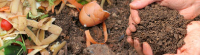 Cupped hands holding finished compost with fresh kitchen scraps on the side.