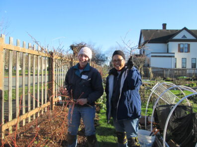 instructors showing pruned blueberry plants