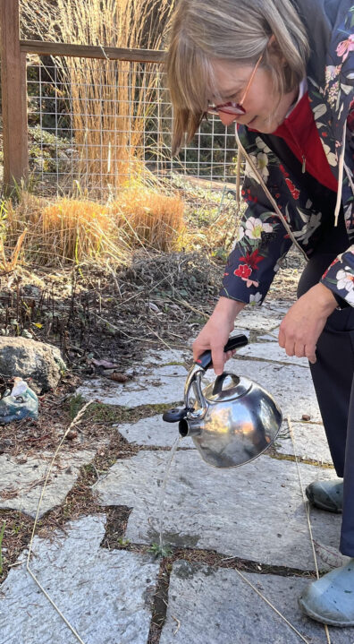 pouring boiling water on stone path