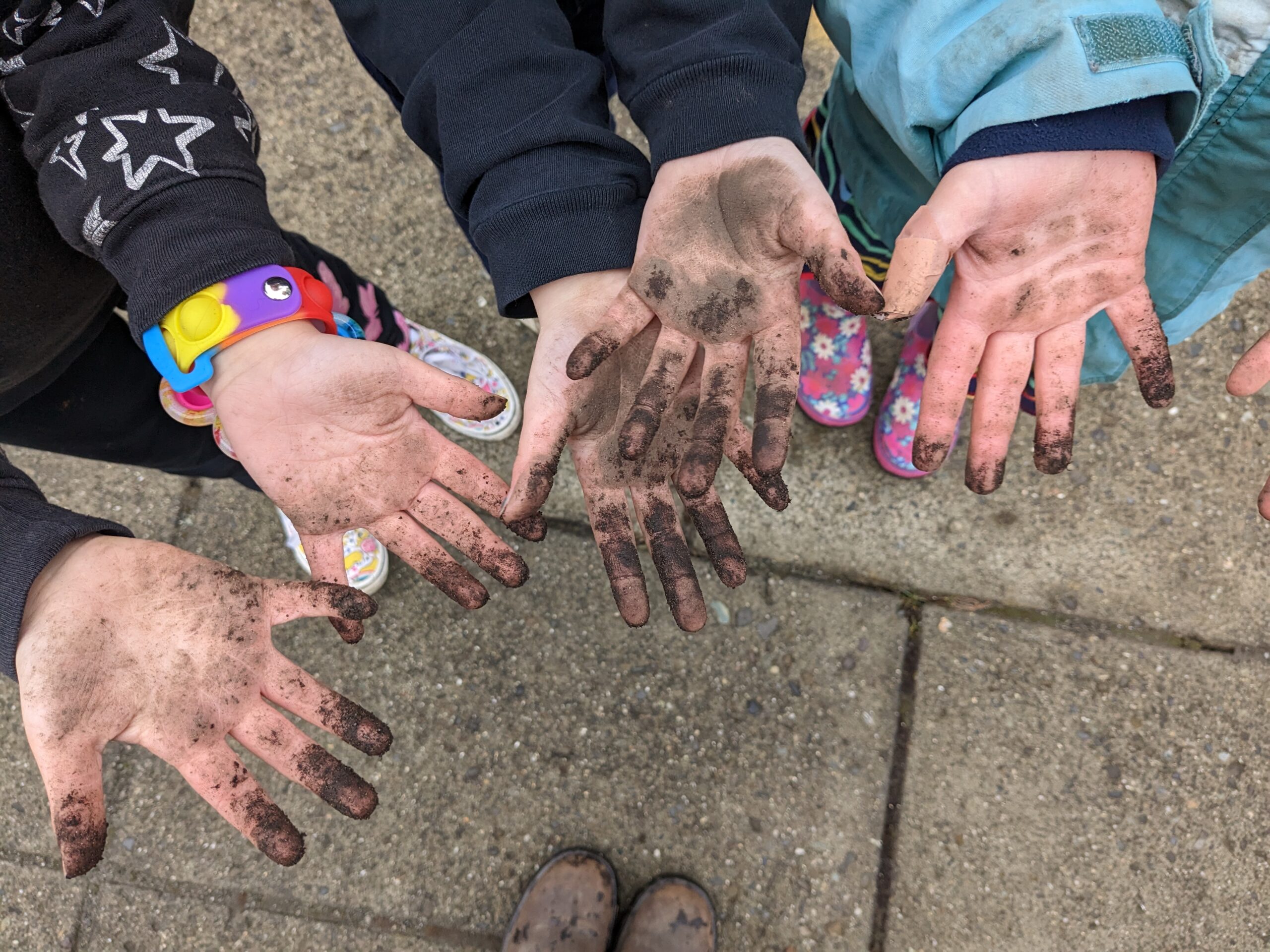 Students show their dirty hands after gardening