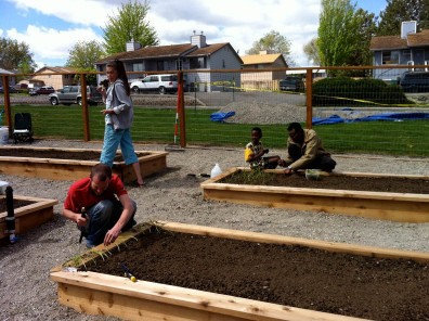 community garden volunteers