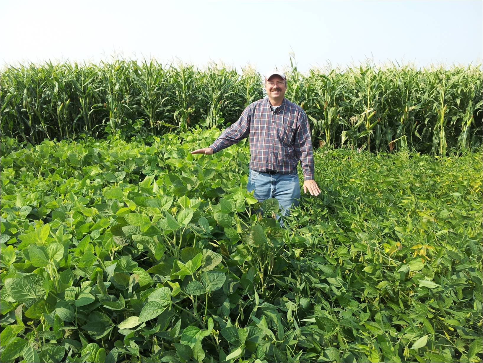 Steve Norberg standing in soybean field.