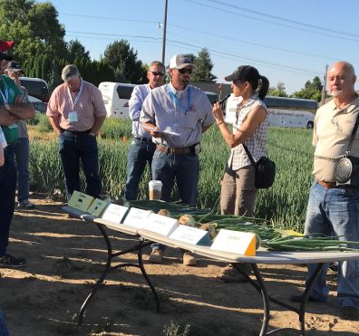 Tim Waters and others standing in onion field.