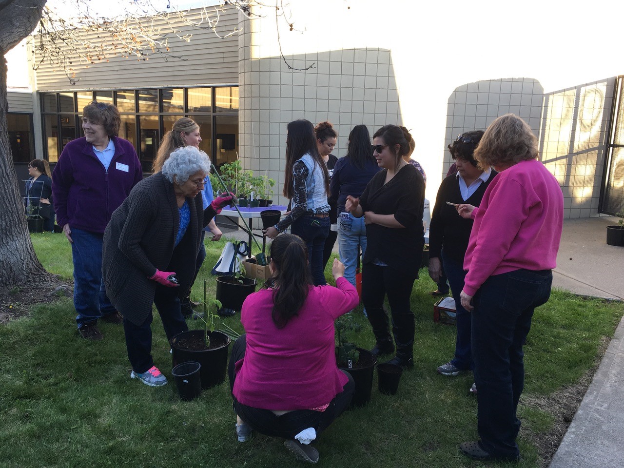 Master Gardeners teaching container gardening