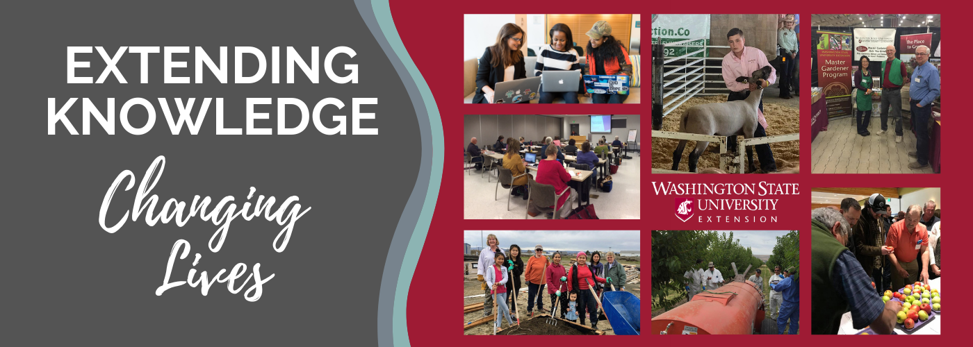 Extending knowledge. Changing lives. WSU Extension programs
