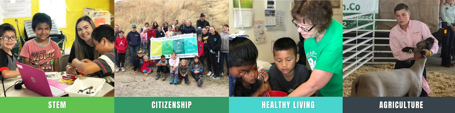 Stem, Citizenship, Healthy Living, Agriculture