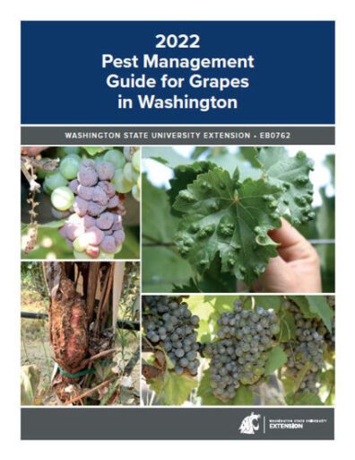 Cover of '2022 Pest Management Guide for Grapes in Washington' publication