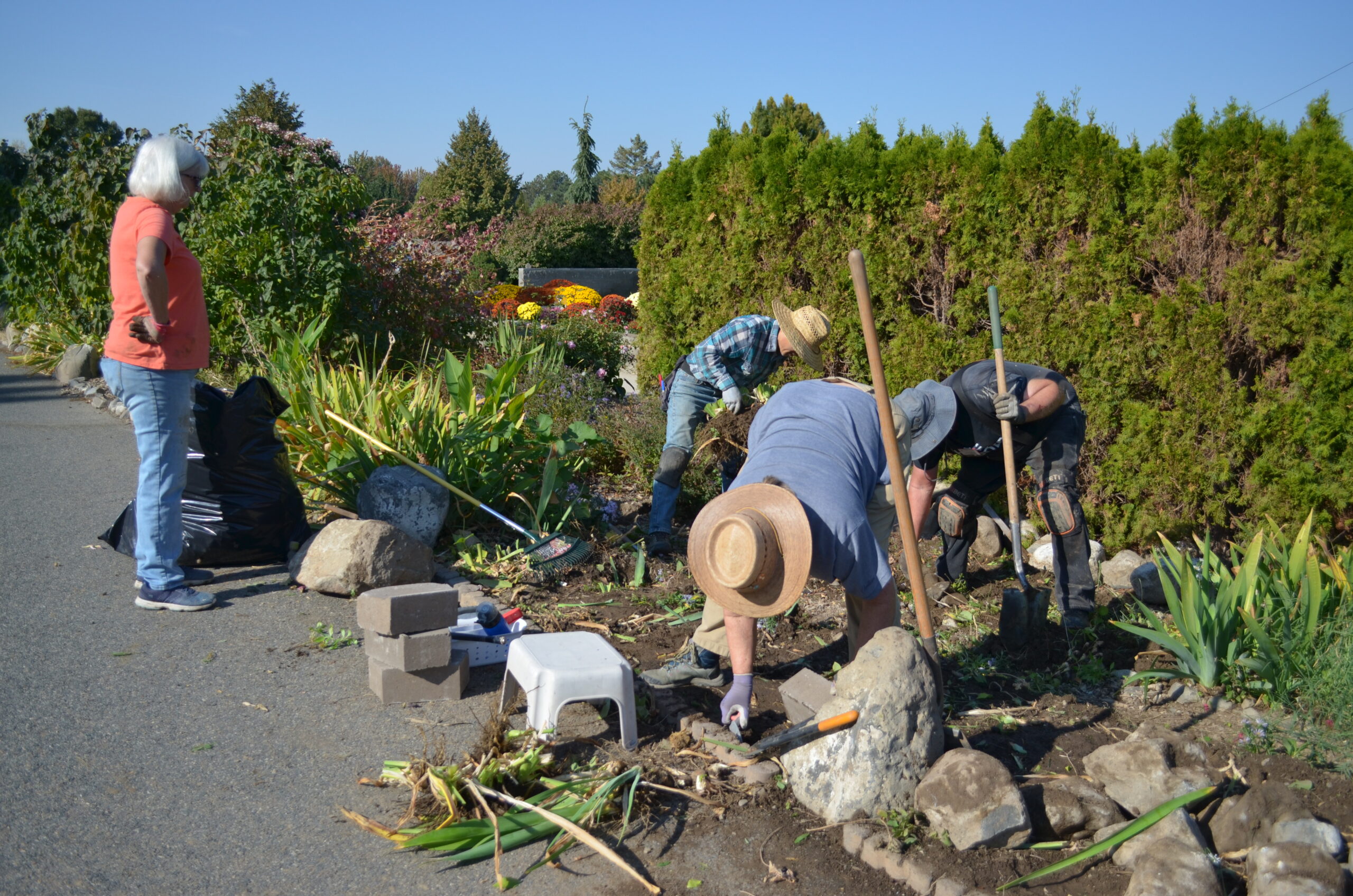 Master Gardener volunteers clearing out garden beds