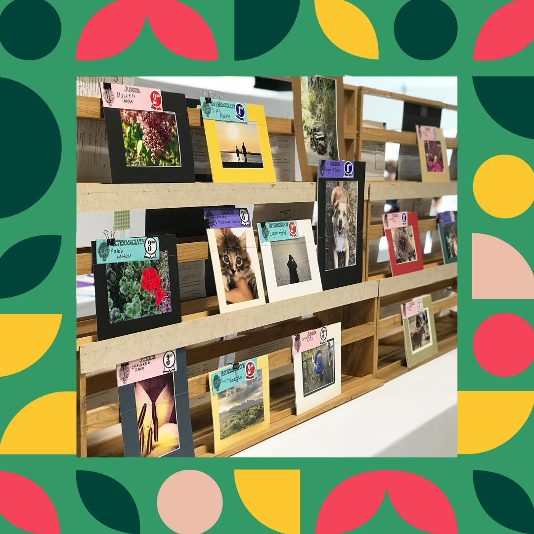 4-H photography exhibit at the fair