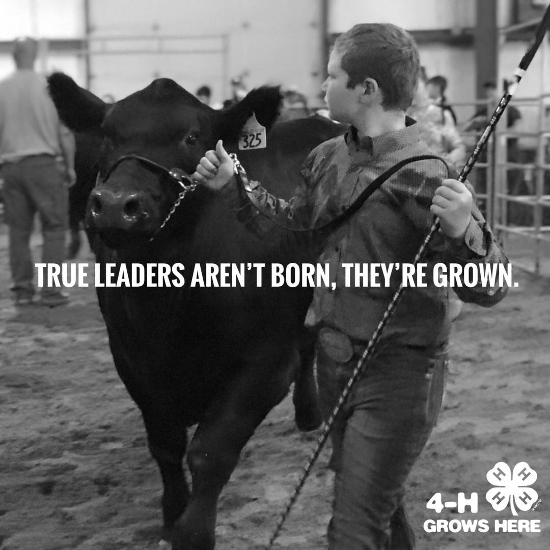 "True leaders aren't born, they're grown." 4-H Grows Here logo