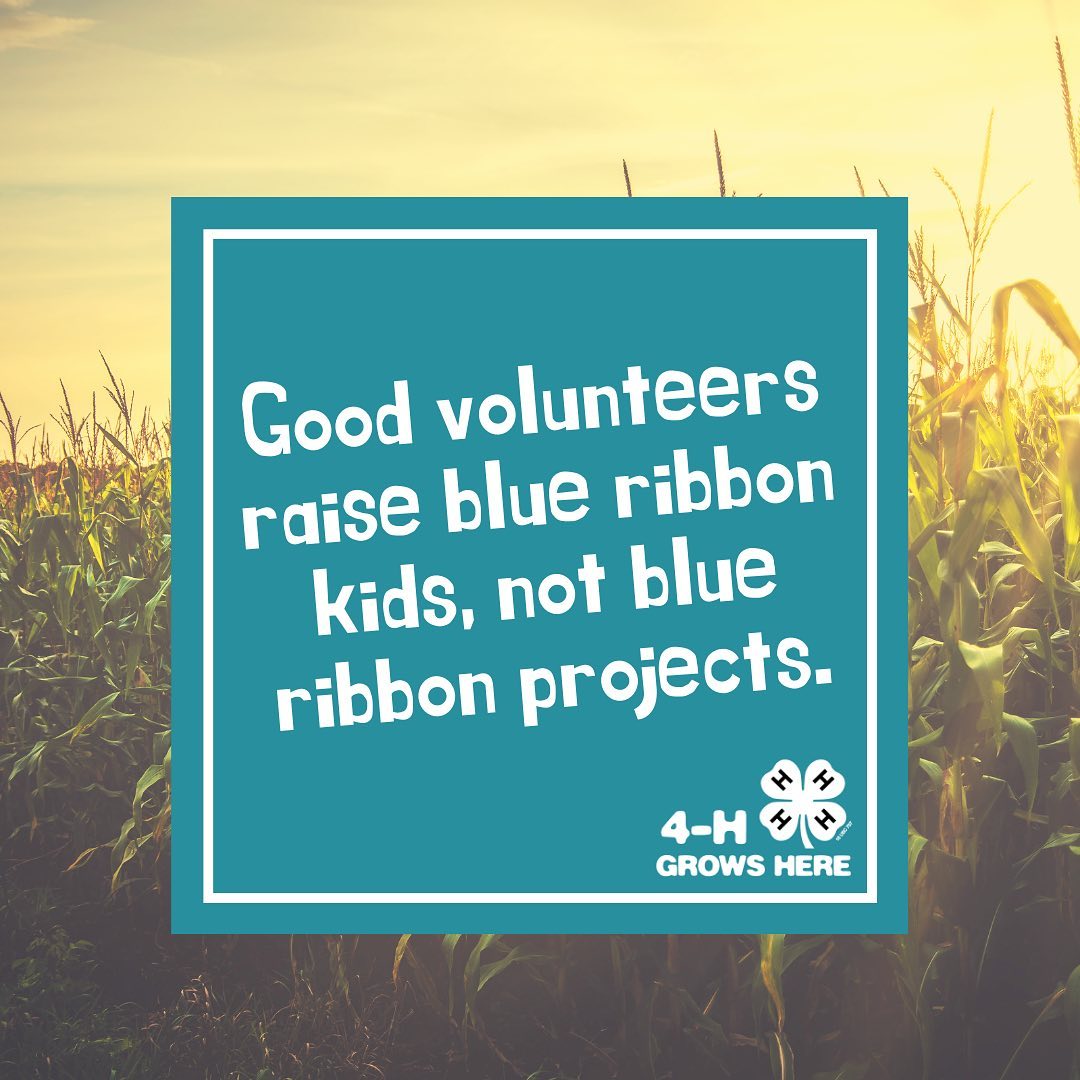 "Good volunteers raise blue ribbon kids, not blue ribbon projects." 4-H Grows Here logo
