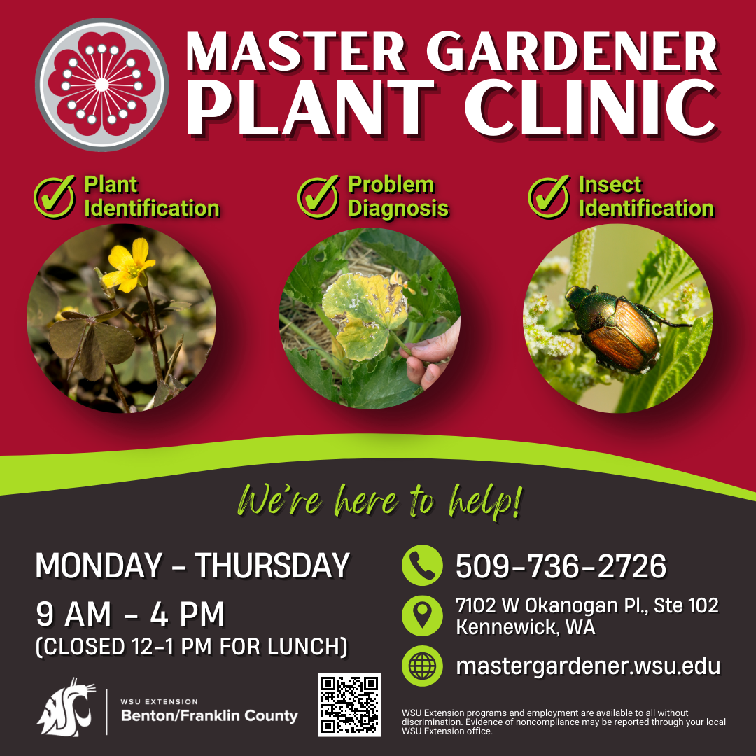 In person plant clinic offered Monday - Thursday, 9am-4pm (closed for lunch 12-1pm). Call us at 509-736-2726 or stop by our office at 7102 W. Okanogan Place, Suite 102 in Kennewick, WA.