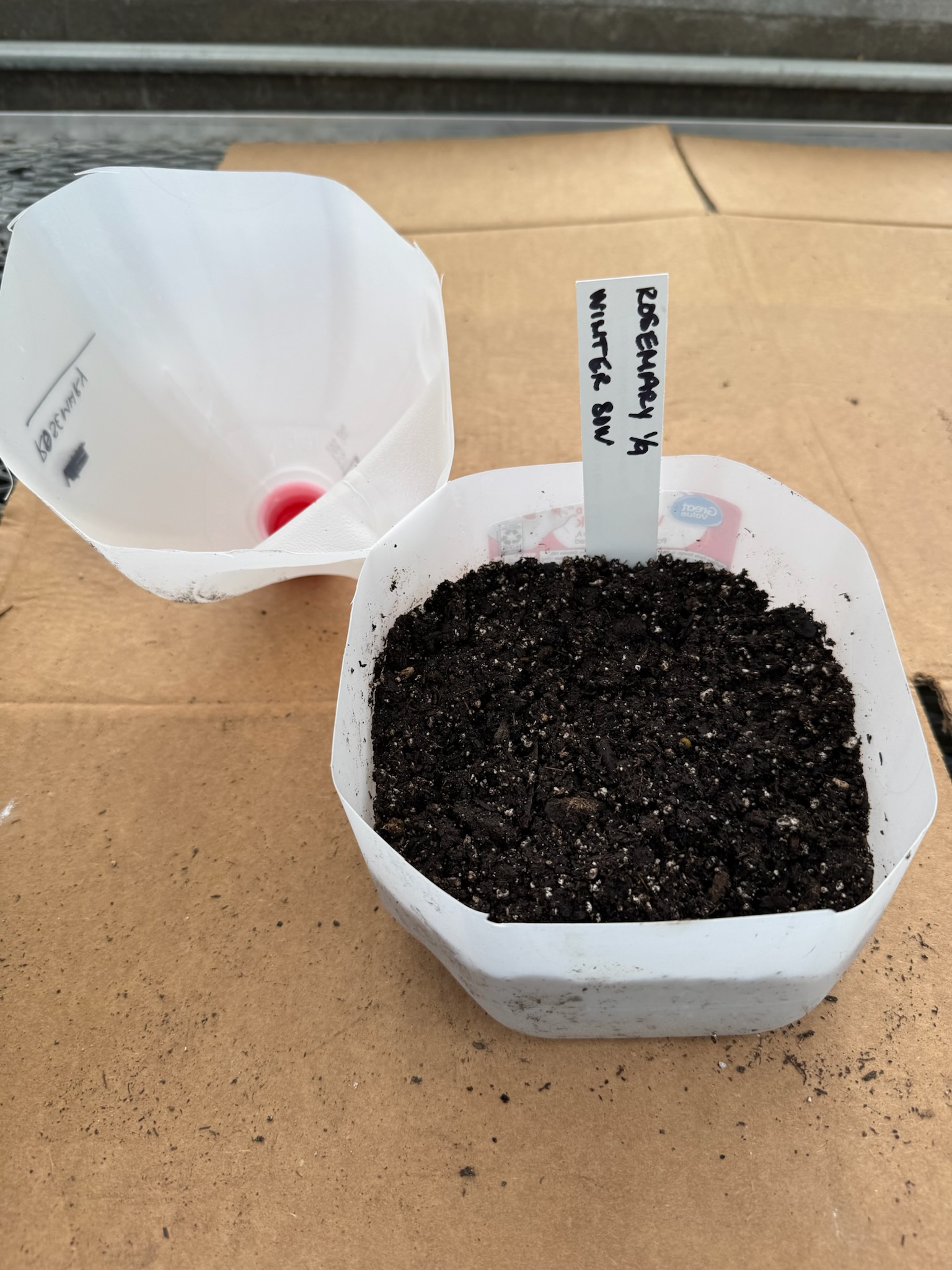 winter seed sowing in container. picture shows container opened with soil and identification tag in it