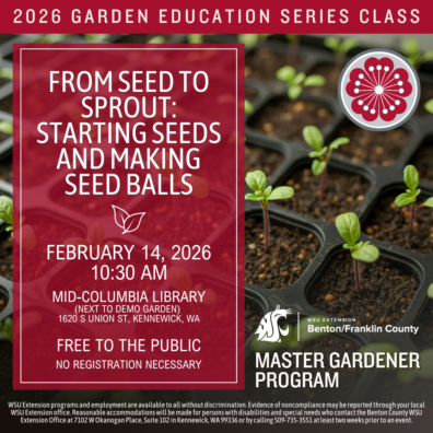 From Seed to Sprout: Starting Seeds and Making Seed Balls