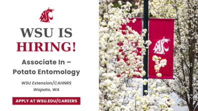 WSU is hiring!