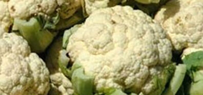 heads of cauliflower