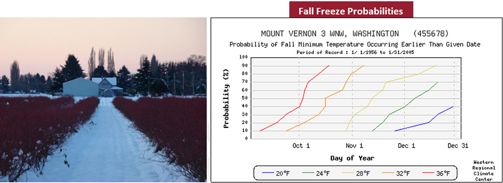 2024 Fall Freeze Probabilities graph