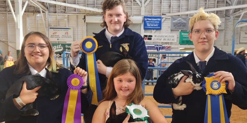4-H and FFA youth proudly displaying their animals and awards at the Skagit County Junior Livestock Sale.