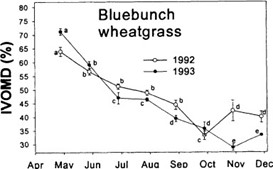 Chart of in Vitro Organic Matter Disappearance (IVOMD) of Cheatgrass throughout the growing season (Ganskopp and Bohnert, 2001).