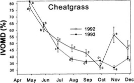 Chart of in Vitro Organic Matter Disappearance (IVOMD) of Cheatgrass throughout the growing season (Ganskopp and Bohnert, 2001).