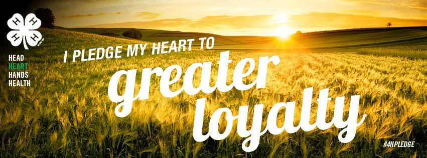 I pledge my heart to greater loyalty