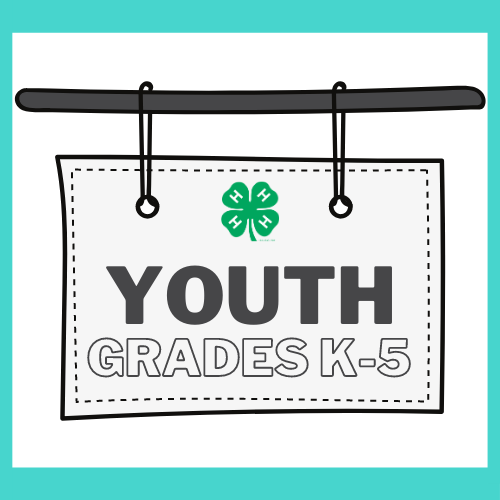 Youth in Grades K-5