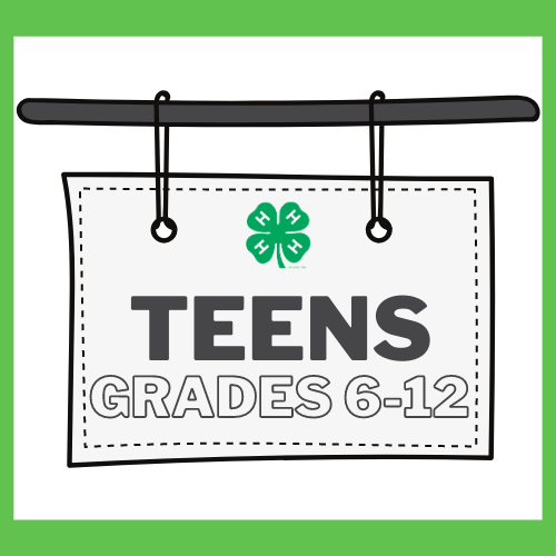 Teens in Grades 6-12