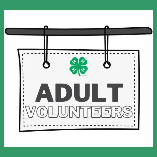 Adult Volunteers