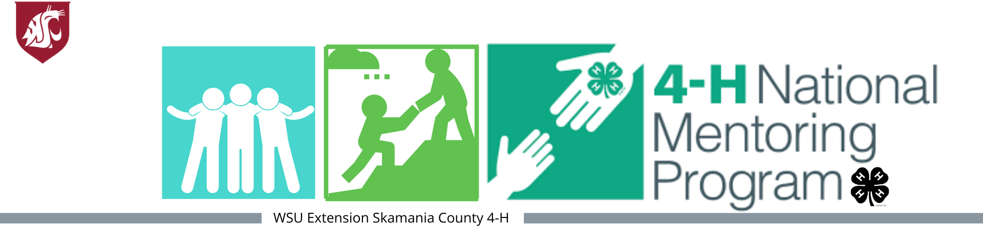 4-H National Mentoring Program