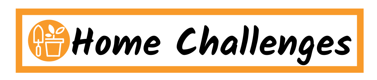 Home Challenges