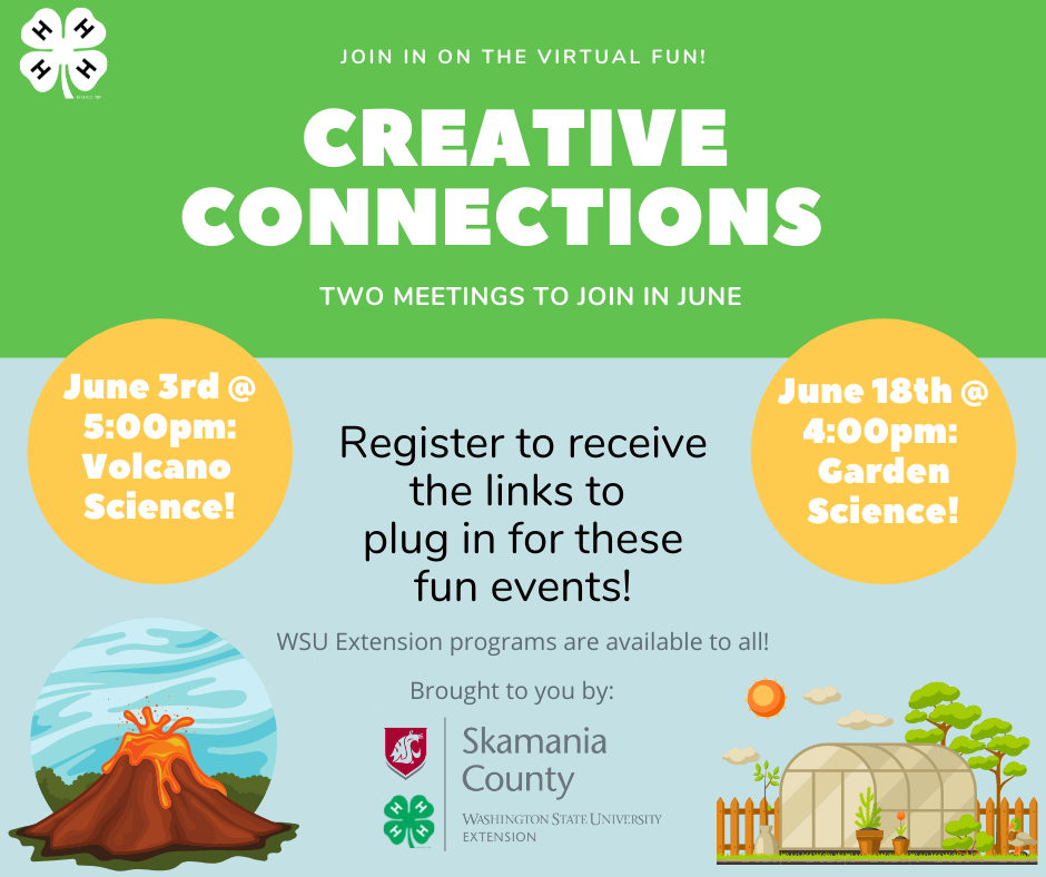June Creative Connections Meeting