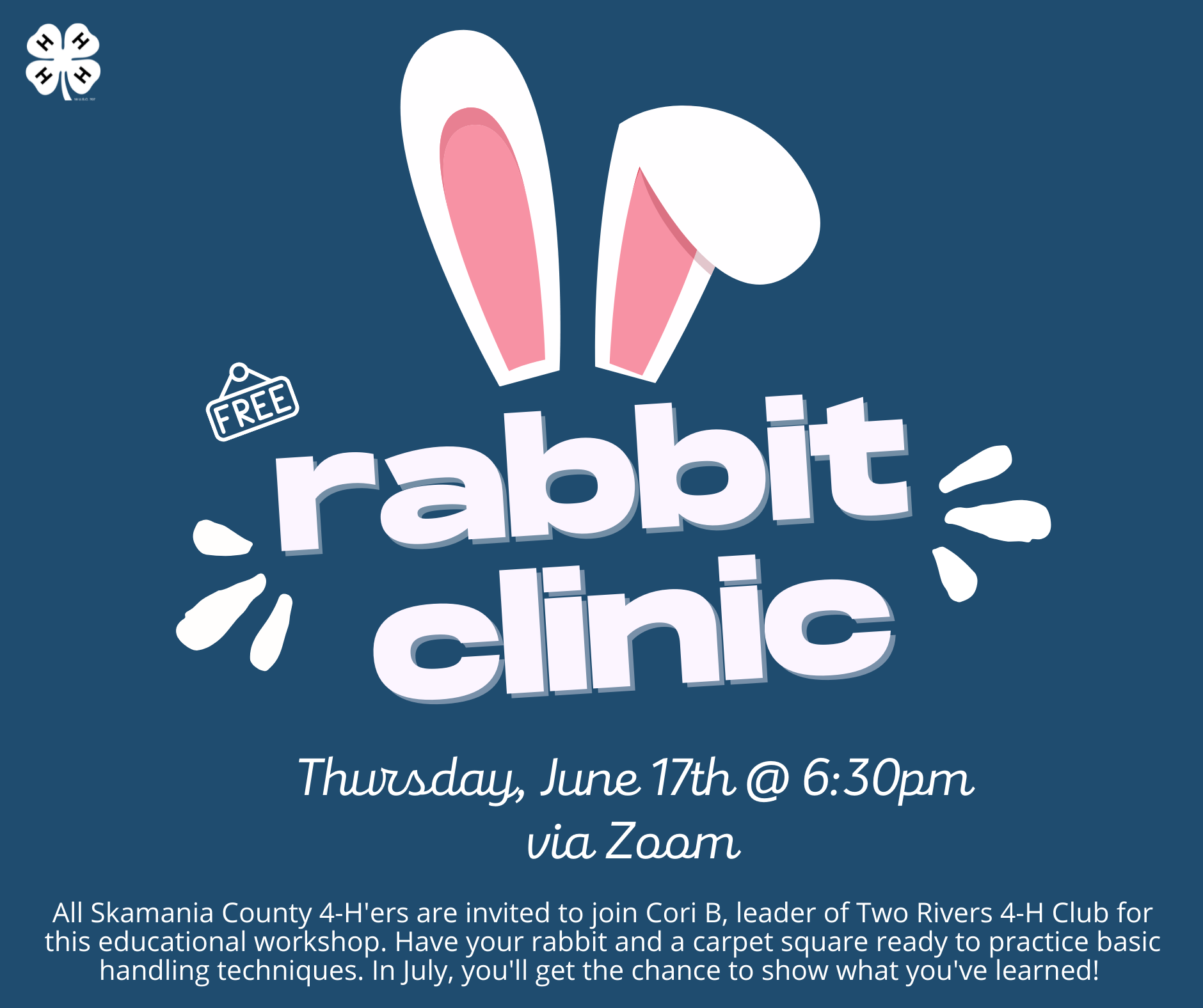 Rabbit Clinic June 17th