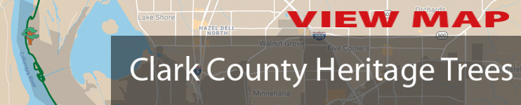Click to view map of Clark County Heritage Trees