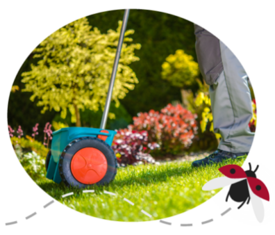 Gardener pushing a spreader for seeding or distributing fertilizer